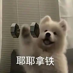 狗狗表情包