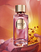 Photo by Lancôme Official on September 22, 2024. 可能是香氛、香水、瓶子和文字的圖像.
