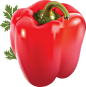 Pepper PNG image