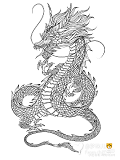 穿上大围脖采集到龙