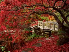 日本标志性风光风景高清摄影壁纸(壁纸4)