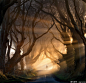摄影：Stephen Emerson