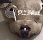 (48 封私信 / 81 条消息) 有什么逗人开心的表情包？ - 知乎 : 我有我有我有！！！种类齐全！！！你想要的表情包我都有！！！有没有让人一看就忍不住笑的表情包？你有哪…