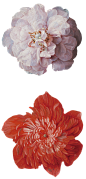 复古油画宫廷花卉植物花朵鲜花拼贴图案PNG免抠素材