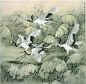 【转载】【国画】名家画笔下的《蒹葭苍苍，白露为霜》 - 九流居宗作的日志 - 网易博客