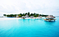 General 2560x1600 island sea palm trees landscape