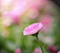 Photograph Untitled by Sun Vonxu on 500px