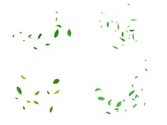 树叶  - 源文件下载【酷图网】树叶,树叶素材,矢量树叶,一片树叶,叶子,绿叶,植物树叶,红色枫叶,秋韵,红叶,枫叶树,枫叶飘落,秋天树叶,植物,边框,飘落,树叶飘落,春花秋叶,金黄的秋叶,秋天叶子