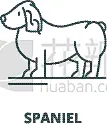 斯班尼犬,轮廓,线图标,直的,概念,可爱的,纯种犬,梗犬,狗,坐