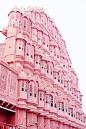 Jaipur PINK