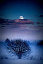 You have to be able to appreciate these things. How many people can say it was a full moon last night and appreciate it? ~Sandy Miller