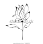 stylized Tulip in black lines on a white background