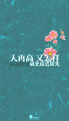 莲心心心心采集到意境文字