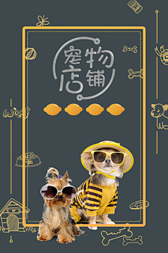 滨宸有只猫采集到宠物