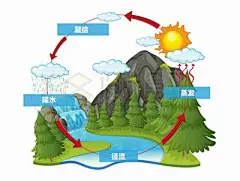 水循环_360图片
