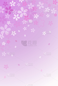 浩海—花采集到55
