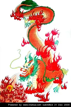 心脏复苏的插画画廊展厅