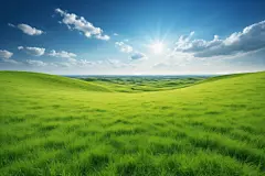绿茵场自然风光摄影图