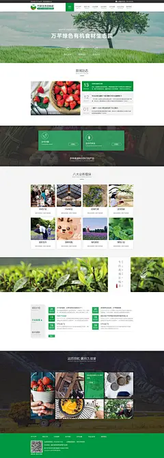 企业官网首页新闻中心绿色农业|网页|企业官网