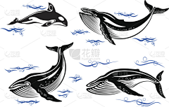 号码浩纳采集到国风