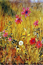 野花，美国1887年，亨利·罗德里克·纽曼（1843年至1917年）