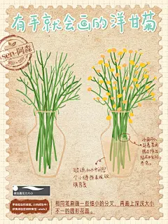 清新淡雅！4 组花的手绘画法