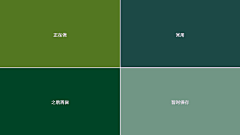 之与之余采集到报纸