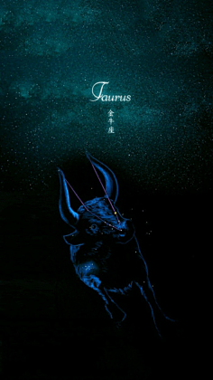 【十二星座】-花瓣网|陪你做生活的设计师 | 星空系天秤座