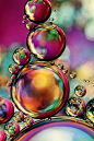 Explosion of Colour | Amazing Pictures - Amazing Pictures, Images, Photography from Travels All Aronud the World