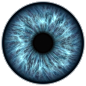 眼, 鸢尾花, 视觉, 人类, 视力, 看, 瞳孔, 查看, 蓝色, 眼球, 镜头, 蓝色的眼睛, 光学