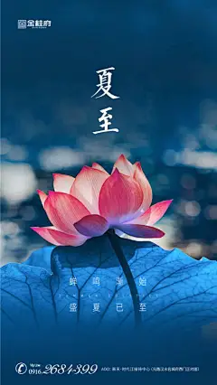 海报 房地产 夏至 二十四节气 荷花