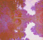 淡紫色色调下的塞纳河上朦胧的早晨_图片_全历史