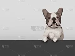 狗后卡板黑色背景3d渲染