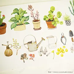 花高清素材 植物 水壶 种花素材 花瓶 花盆 元素 免抠png 设计图片 免费下载 页面网页 平面电商 创意素材