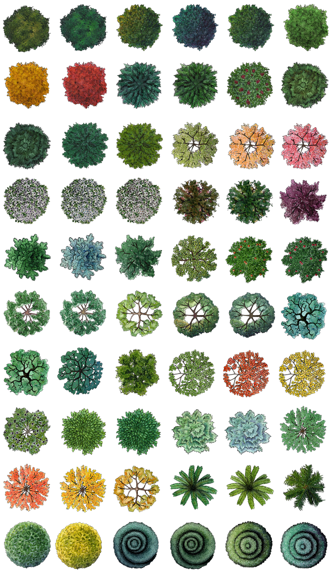 免抠手绘植物平面图素材PNG
