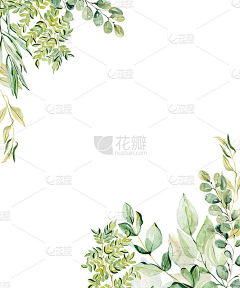 葵lvse采集到花卉素材