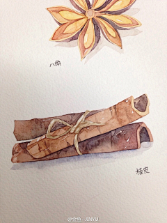 花枝粽子0831采集到插画素材