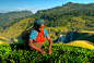 图像,户外,职业,农场,种植园_108328042_Tea Picker_创意图片_Getty Images China