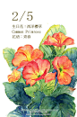 豆芽君的haru酱的微博_微博