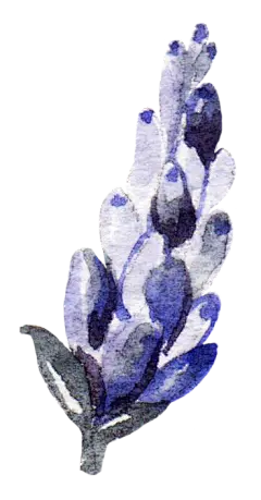 粉嫩手绘水彩花朵花卉花环婚礼迎宾海报PNG免扣设计元素PS素材