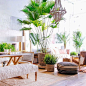 These Lush Jungalows Are Nailing the Indoor Plant Trend | Brit + Co