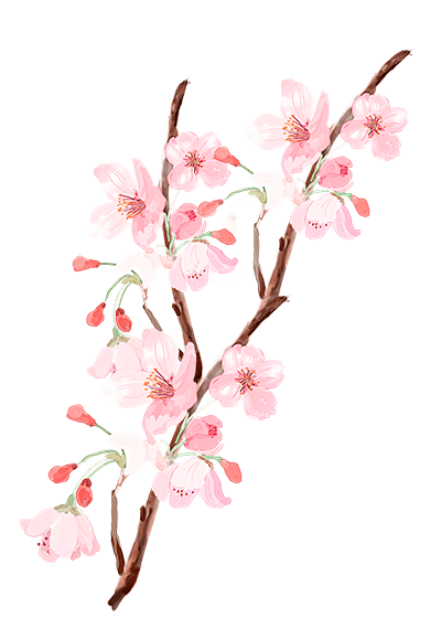 白 (109)
