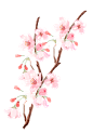 素材中秋