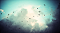 birds clouds flock skies skyscapes wallpaper (#996797) / Wallbase.cc