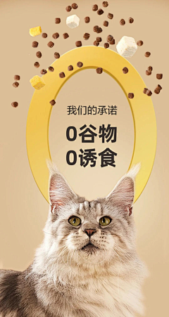 Luna菌菌采集到0添加