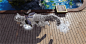 006wHNDYgy1hgxkz3eaglg30r80dwb2e.gif (170 B,980*500)