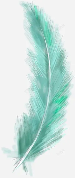 彩绘羽毛 羽毛 贺卡 元素 免抠png 设计图片 免费下载 页面网页 平面电商 创意素材