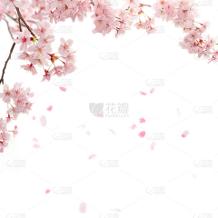 小星星酒采集到光影