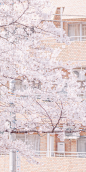 春日 · 花间集