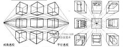 曦9539采集到001知识类-透视关系